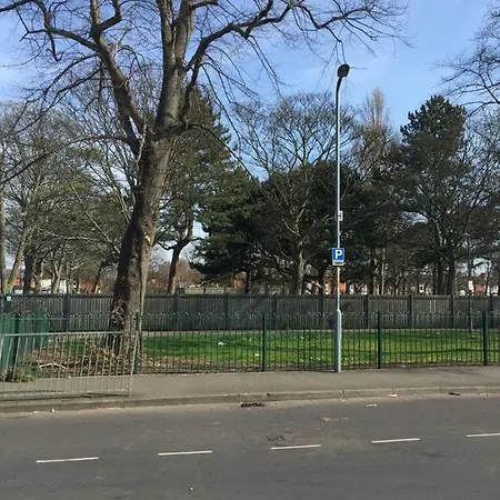 Alphalink * ミドルズブラ